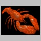 lobster1.jpg