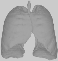 original mesh