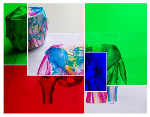 anatomical edutainer