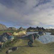 Island