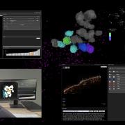 XR, AI and Visual Analytics in 3D Spatial Biology